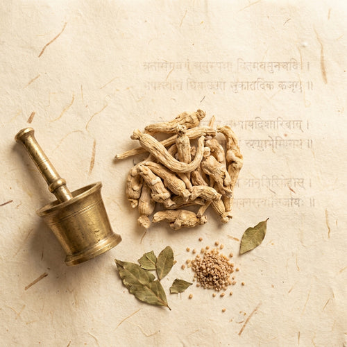Shatavari